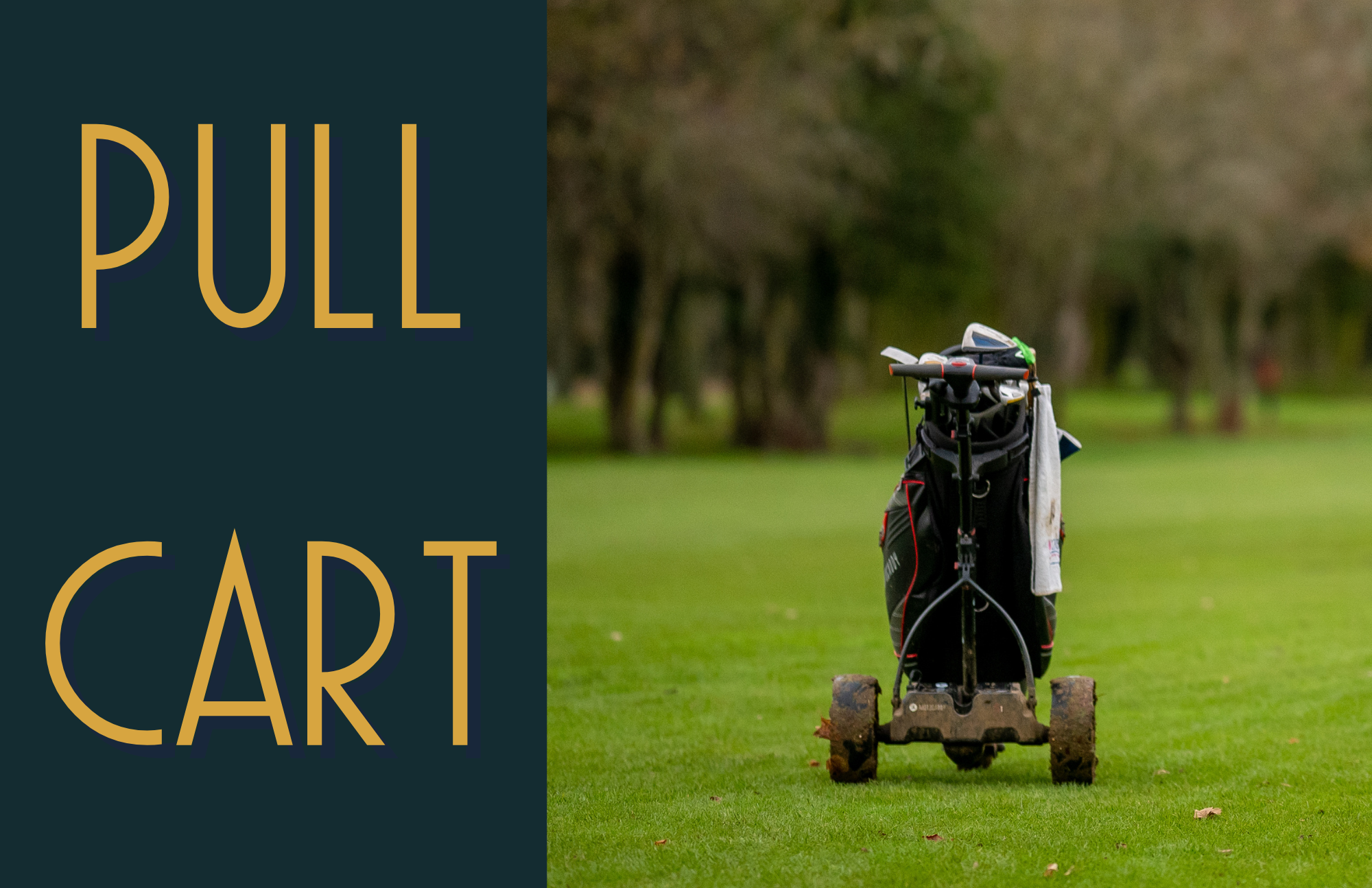Pull Cart